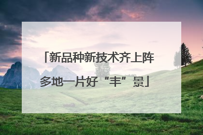 新品种新技术齐上阵 多地一片好“丰”景