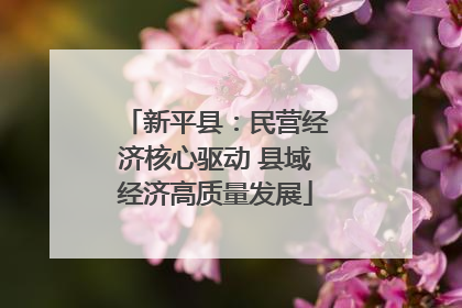新平县：民营经济核心驱动 县域经济高质量发展