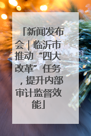 新闻发布会｜临沂市推动“四大改革”任务，提升内部审计监督效能