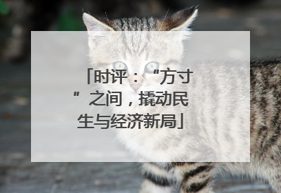 时评：“方寸”之间，撬动民生与经济新局