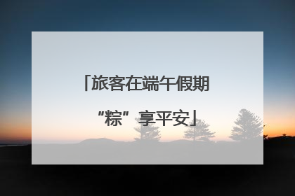 旅客在端午假期“粽”享平安