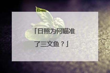 日照为何瞄准了三文鱼？