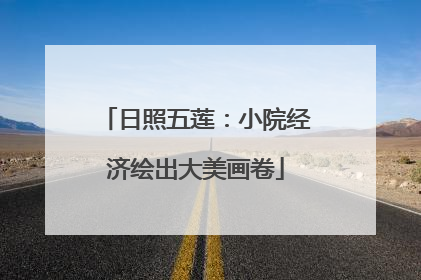 日照五莲：小院经济绘出大美画卷