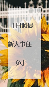 日照最新人事任免