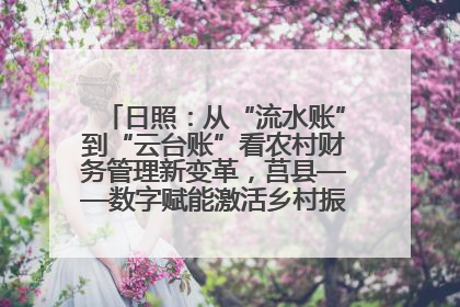 日照：从“流水账”到“云台账”看农村财务管理新变革，莒县——数字赋能激活乡村振兴“一池春水”