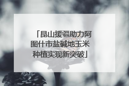 昆山援疆助力阿图什市盐碱地玉米种植实现新突破