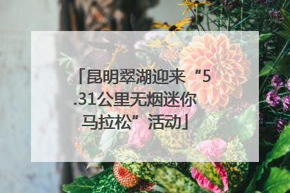 昆明翠湖迎来“5.31公里无烟迷你马拉松”活动
