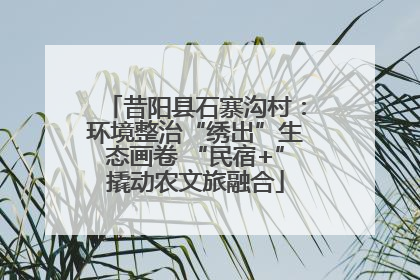 昔阳县石寨沟村：环境整治“绣出”生态画卷 “民宿+”撬动农文旅融合