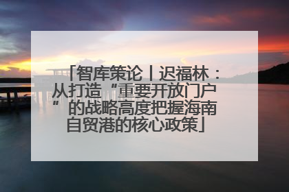 智库策论丨迟福林：从打造“重要开放门户”的战略高度把握海南自贸港的核心政策