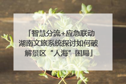 智慧分流+应急联动 湖南文旅系统探讨如何破解景区“人海”困局