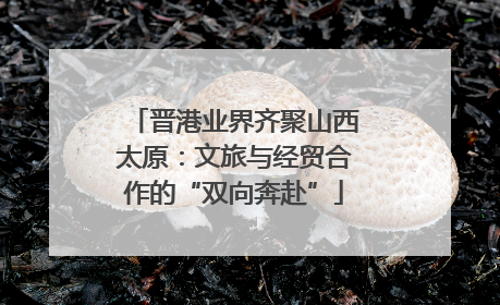晋港业界齐聚山西太原：文旅与经贸合作的“双向奔赴”