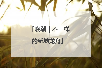 晚潮｜不一样的新塘龙舟