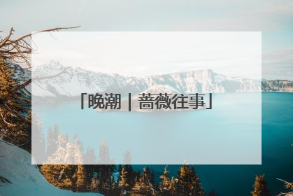 晚潮｜蔷薇往事