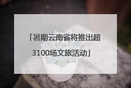 暑期云南省将推出超3100场文旅活动