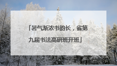 暑气渐浓书韵长，省第九届书法高研班开班