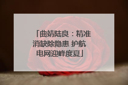 曲靖陆良：精准消缺除隐患 护航电网迎峰度夏