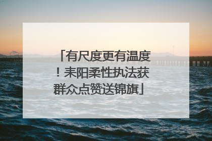 有尺度更有温度！耒阳柔性执法获群众点赞送锦旗