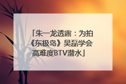 朱一龙透露：为拍《东极岛》吴磊学会高难度BTV潜水