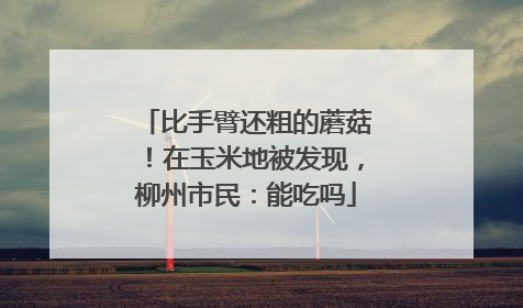 比手臂还粗的蘑菇！在玉米地被发现，柳州市民：能吃吗