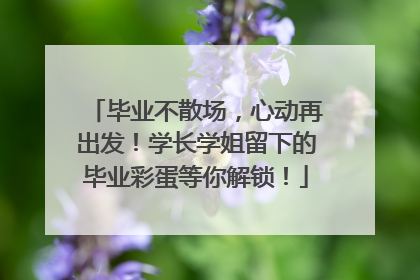 毕业不散场，心动再出发！学长学姐留下的毕业彩蛋等你解锁！