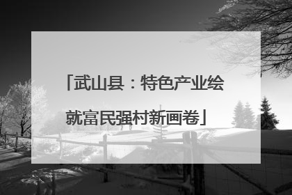 武山县：特色产业绘就富民强村新画卷