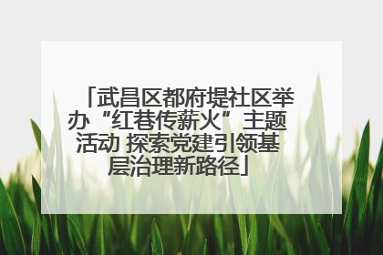 武昌区都府堤社区举办“红巷传薪火”主题活动 探索党建引领基层治理新路径