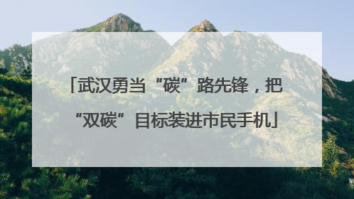 武汉勇当“碳”路先锋，把“双碳”目标装进市民手机