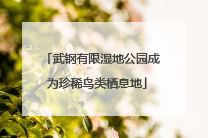 武钢有限湿地公园成为珍稀鸟类栖息地