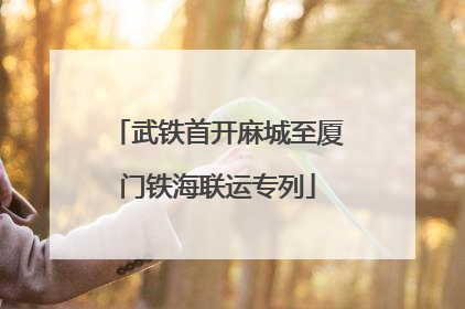 武铁首开麻城至厦门铁海联运专列