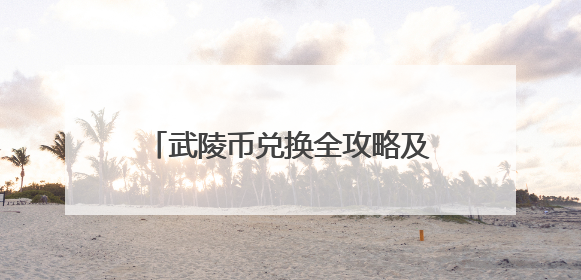 武陵币兑换全攻略及高价值权益收获指南