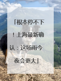 根本停不下！上海最新确认：这场雨今夜会更大
