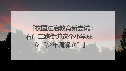 校园法治教育新尝试：石门二路街道这个小学成立“少年调解庭”