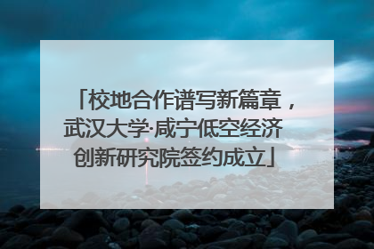 校地合作谱写新篇章，武汉大学·咸宁低空经济创新研究院签约成立