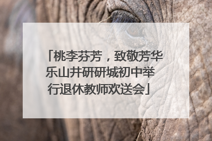 桃李芬芳，致敬芳华 乐山井研研城初中举行退休教师欢送会