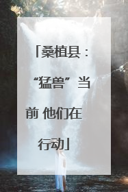桑植县：“猛兽”当前 他们在行动