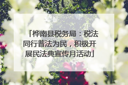 桦南县税务局：税法同行普法为民，积极开展民法典宣传月活动