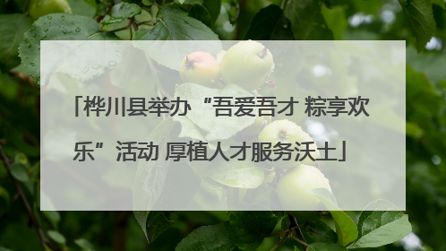 桦川县举办“吾爱吾才 粽享欢乐”活动 厚植人才服务沃土