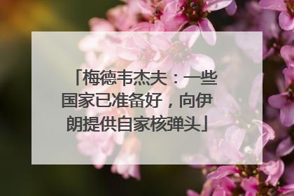 梅德韦杰夫：一些国家已准备好，向伊朗提供自家核弹头