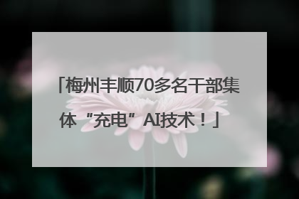 梅州丰顺70多名干部集体“充电”AI技术！