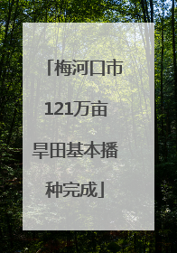 梅河口市121万亩旱田基本播种完成