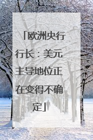 欧洲央行行长：美元主导地位正在变得不确定