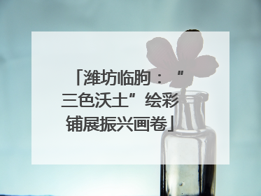 潍坊临朐：“三色沃土”绘彩铺展振兴画卷