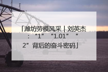 潍坊劳模风采｜刘英杰：“1”“1.01”“2”背后的奋斗密码