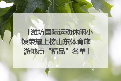 潍坊国际运动休闲小镇荣耀上榜山东体育旅游地点“精品”名单