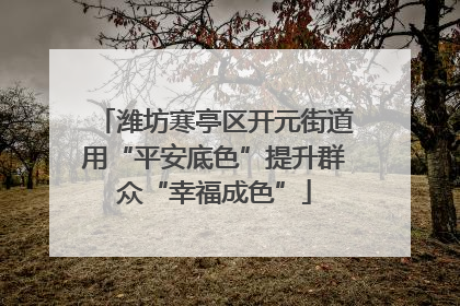 潍坊寒亭区开元街道用“平安底色”提升群众“幸福成色”