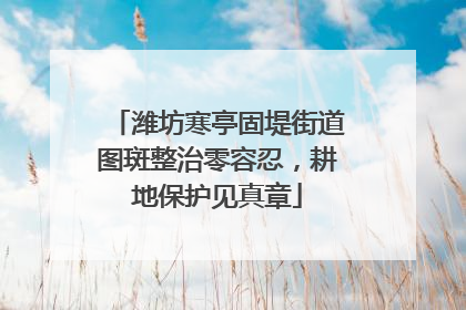 潍坊寒亭固堤街道图斑整治零容忍，耕地保护见真章