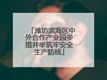 潍坊滨海区中外合作产业园多措并举筑牢安全生产防线