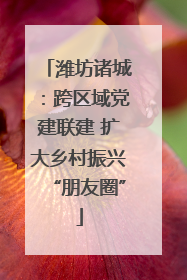 潍坊诸城：跨区域党建联建 扩大乡村振兴“朋友圈”