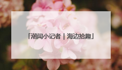 潮闻小记者｜海边拾趣