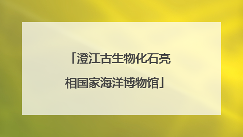 澄江古生物化石亮相国家海洋博物馆